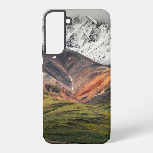 Polychrome mountain, Denali NP, Alaska Samsung Galaxy Case (Back)