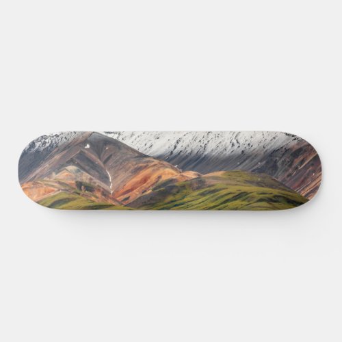 Polychrome mountain Denali NP Alaska Skateboard