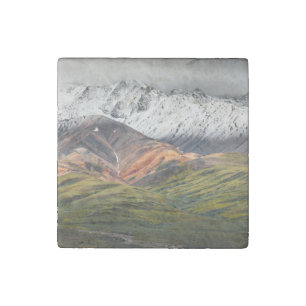 Polychrome mountain, Denali NP, Alaska Stone Magnet