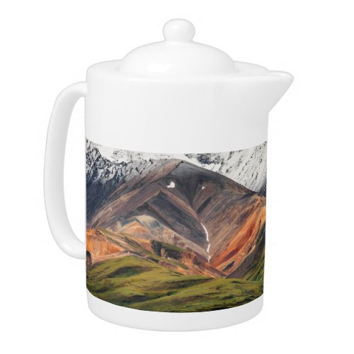 Polychrome mountain Denali NP Alaska Teapot