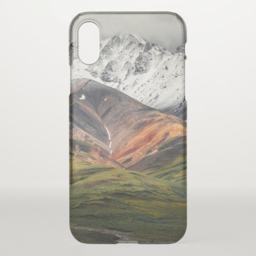 Polychrome mountain Denali NP Alaska iPhone X Case