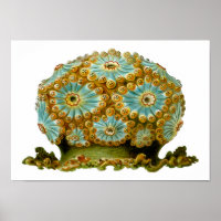 Polycyclus cyaneus Ernst Haeckel Fine Art