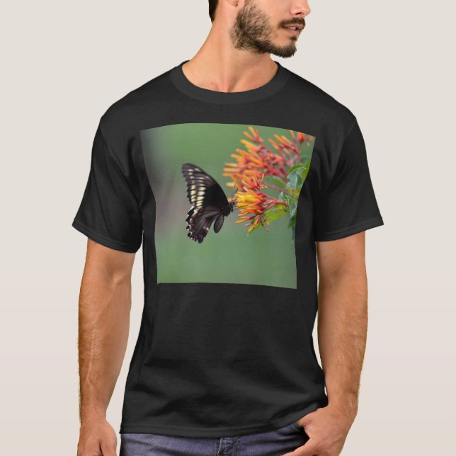 Polydamus Swallowtail Butterfly T-Shirt (Front)