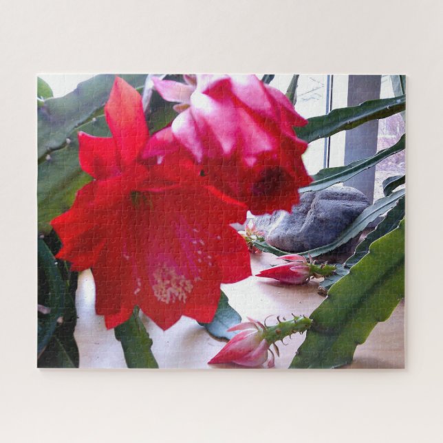 POLYNESIAN DRAGON CACTUS NIGHT BLOOM puzzle (Horizontal)