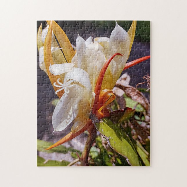 POLYNISIAN DRAGON CACTUS NIGHT BLOOM  JIGSAW PUZZLE (Vertical)
