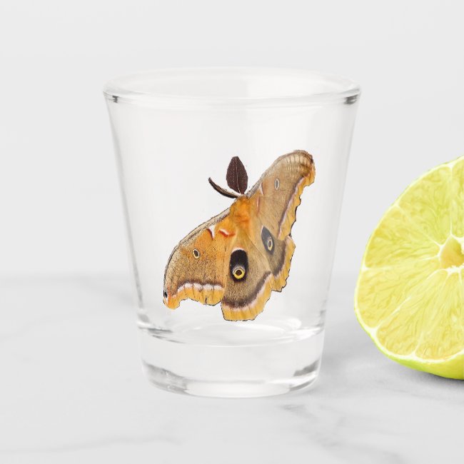 Polyphemus Moth Animal Shot Glass