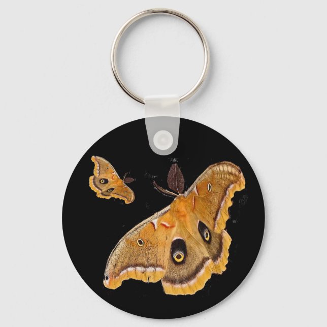 Polyphemus Moth Keychain (Front)