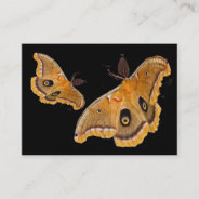 Polyphemus Moths Atc Business Card at Zazzle