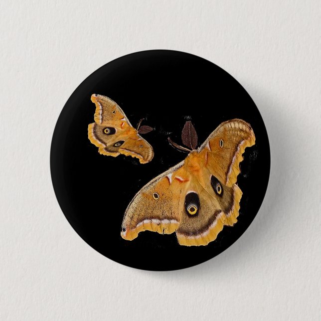 Polyphemus Moths Button (Front)