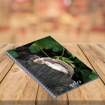 Polypore Fungus On Tree Stump Notebook by northwestphotos at Zazzle
