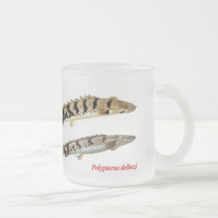 Polypterus delhezi mug