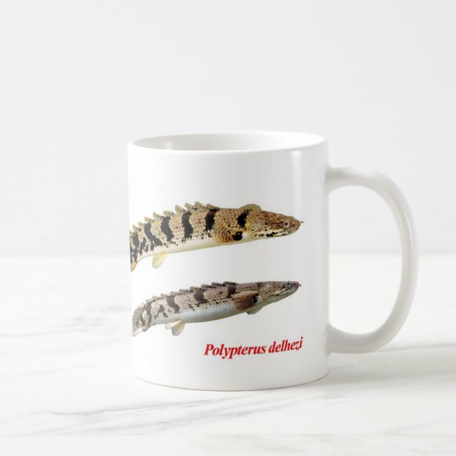 Polypterus delhezi mug (Right)