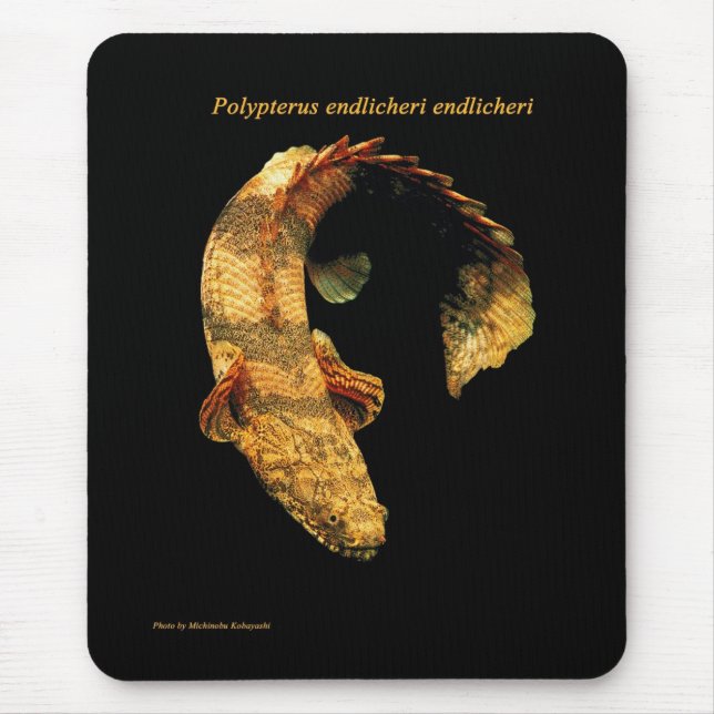 Polypterus endlichery mouse pad (Front)