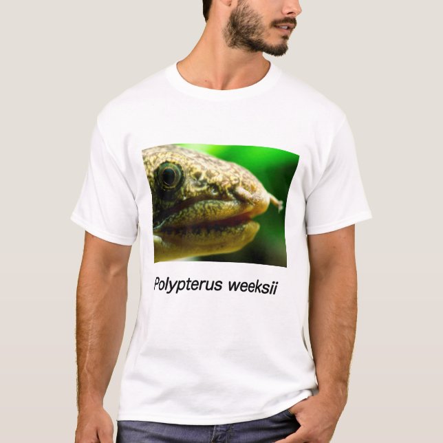 Polypterus weeksii T-Shirt (Front)