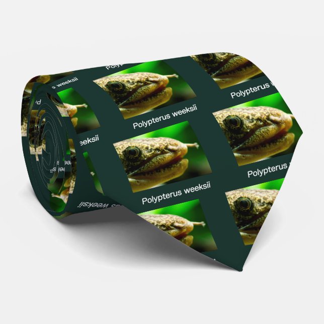 Polypterus weeksii tie (Rolled)