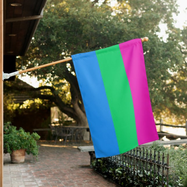 Polysexual Flag (In SItu)