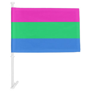 Polysexual Pride Flag