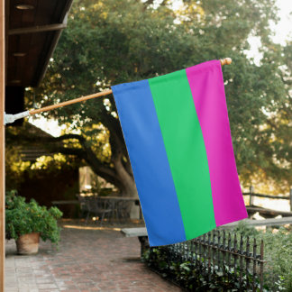 Polysexual Pride Flag