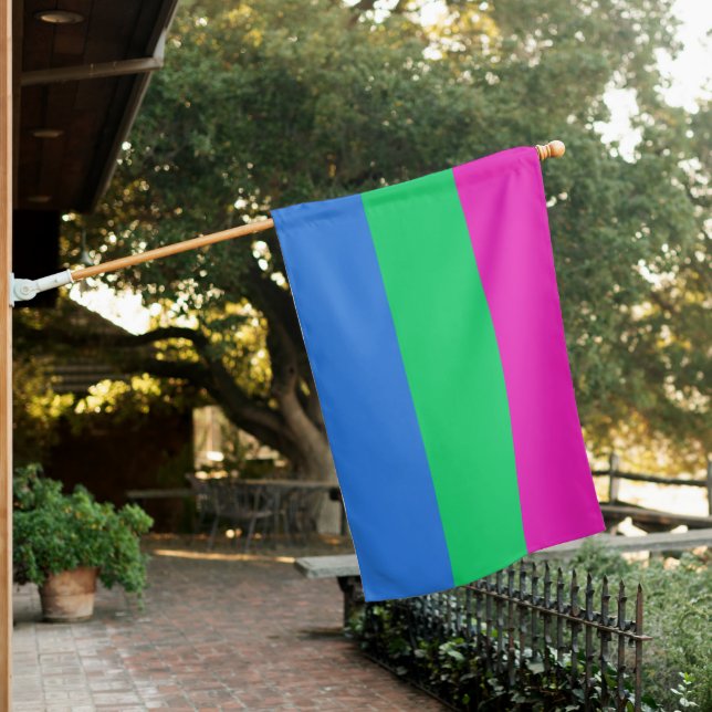 Polysexual Pride Flag (In SItu)