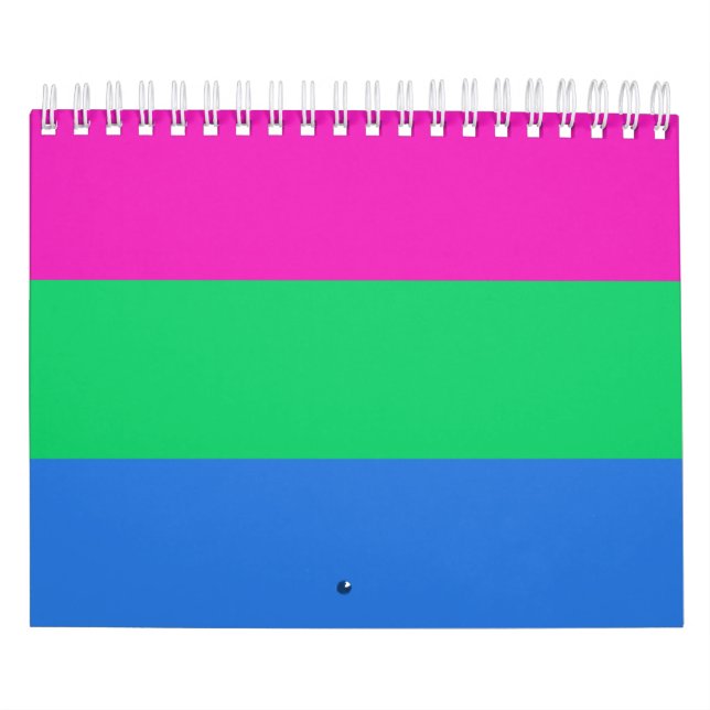 Polysexual Pride Flag Calendar (Cover)