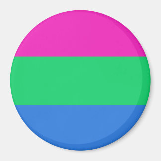 Polysexual Pride Flag Magnet