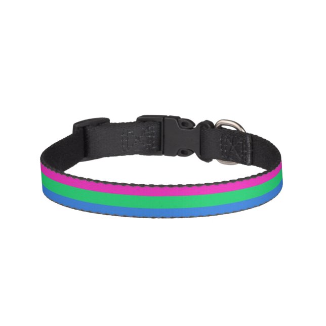 Polysexual Pride Flag Pet Collar (Front)
