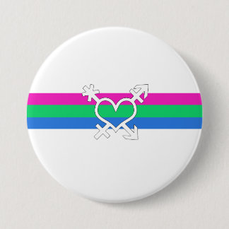 Polysexual Pride Flag Pinback Button