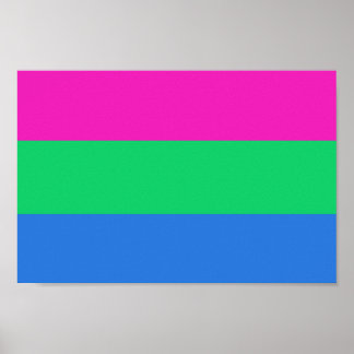 Polysexual Pride Flag Poster