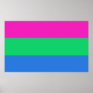 Polysexual Pride Flag Poster
