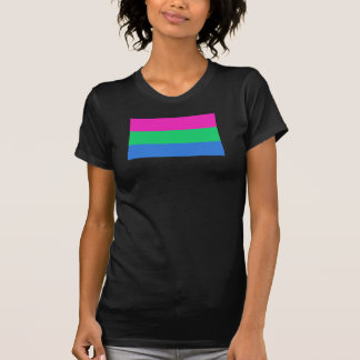 Polysexual Pride Flag T-Shirt