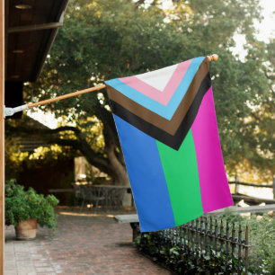 Polysexual Progress Pride Flag