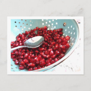 PomAqua Postcard