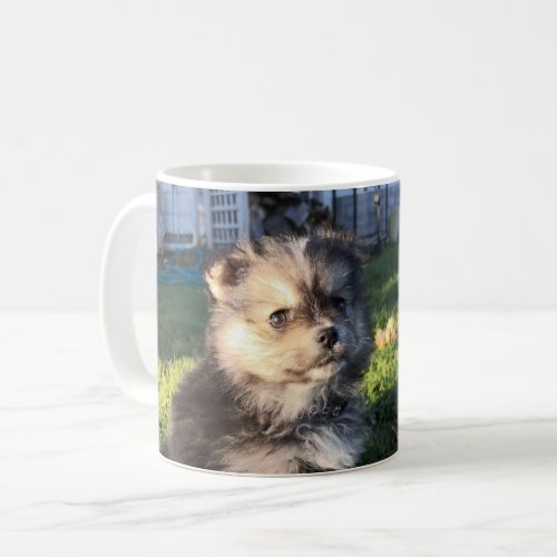 Pomchi Mug