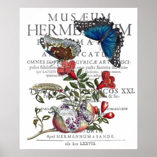 POMEGRANATE  BLUE BUTTERFLY DECOUAPGE PRINT