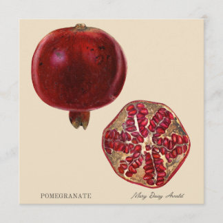 Pomegranate by Mary Daisy Arnold