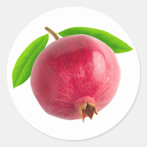 Pomegranate Classic Round Sticker