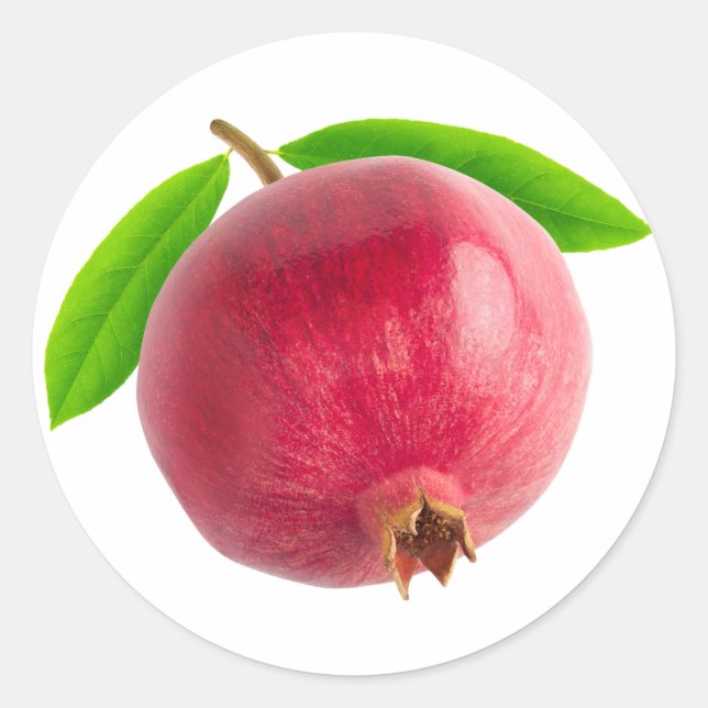 Pomegranate Classic Round Sticker (Front)