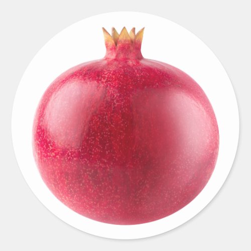 Pomegranate Classic Round Sticker