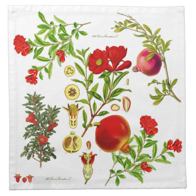 Pomegranate Cloth  Napkins (Set of 4) (Front)