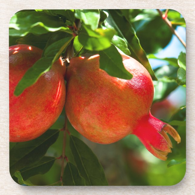 Pomegranate Drink Coaster (Front)