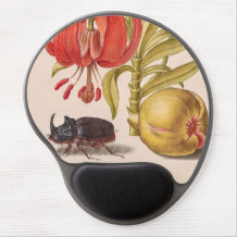 Pomegranate Flower, Fruit and Rhinoceros Beetle