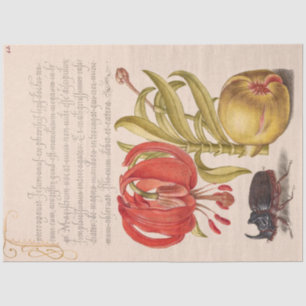Pomegranate Flower, Fruit and Rhinoceros Beetle Tissue Paper