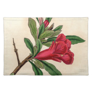 Pomegranate flower - vintage illustration detail cloth placemat