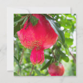 Pomegranate fruit (Front)