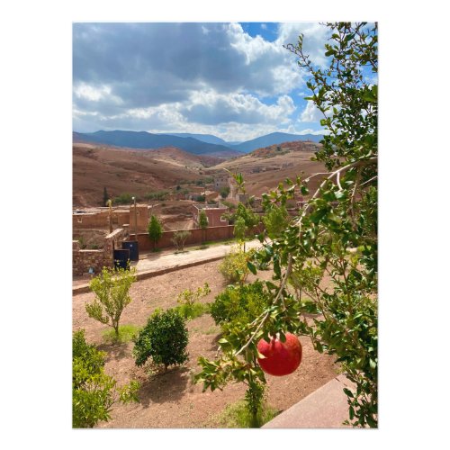 Pomegranate in the Atlas Mountains Morocco Photo Print