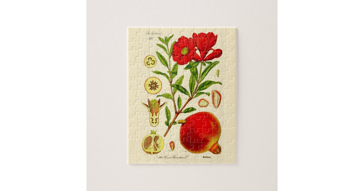 Pomegranate Jigsaw Puzzle | Zazzle.com