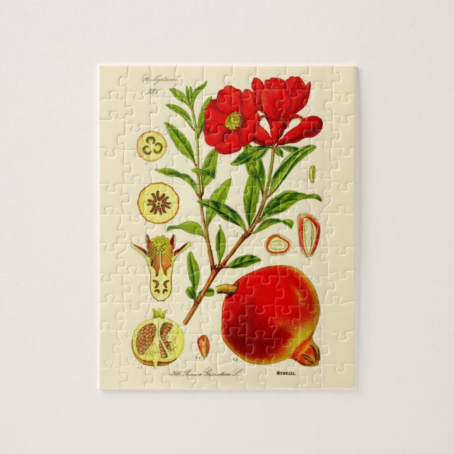Pomegranate Jigsaw Puzzle (Vertical)
