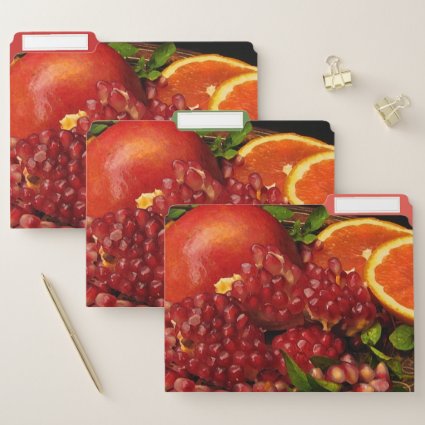 Pomegranate Orange and Mint File Folder Set