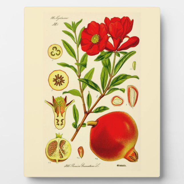 Pomegranate Plaque (Front)