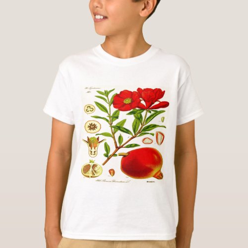 Pomegranate T_Shirt